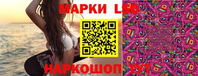 прущие крисы Будённовск