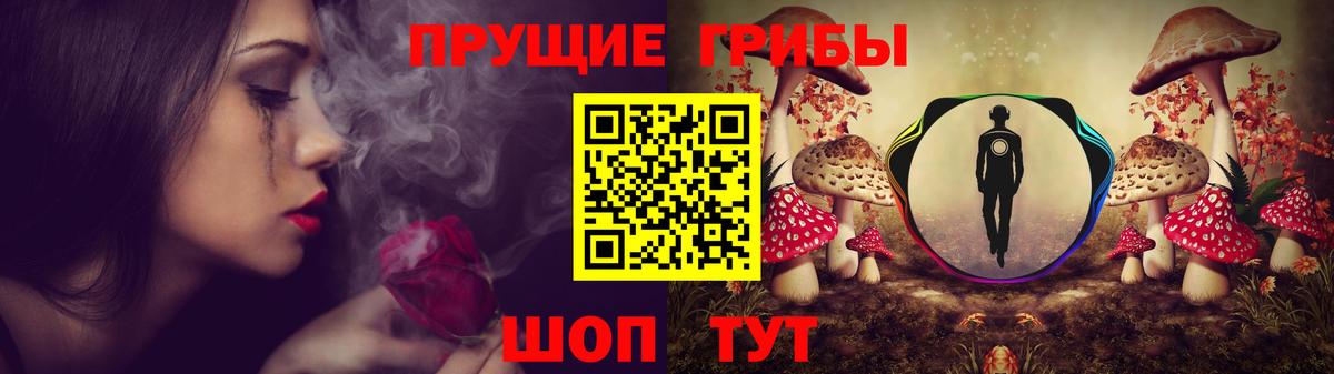Псилоцибиновые грибы мицелий  Псилоцибиновые грибы GOLDEN TEACHER  Вход с VPN  Среднеуральск 
